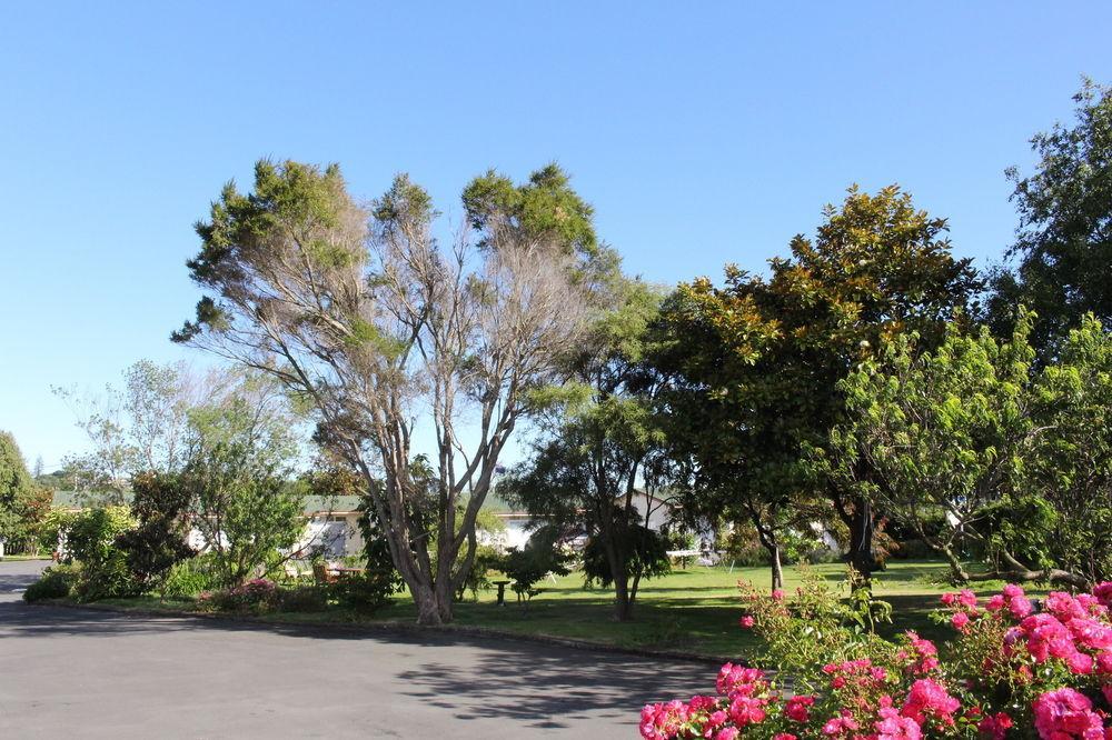 Astral Motel Whanganui Buitenkant foto