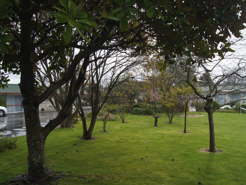 Astral Motel Whanganui Buitenkant foto